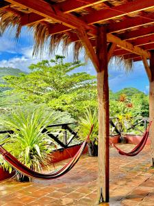 a hammock on a patio with plants at Hostal Luz Del Valle in Santa Bárbara de Samaná