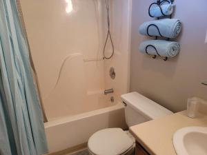 a bathroom with a toilet and a tub and a sink at The Hofer Beach Retreat in Crescent City