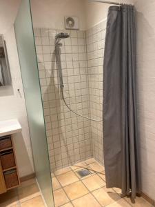 a shower with a shower curtain in a bathroom at Stråtækt Idyl in Nørre Kollund