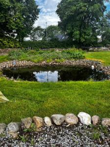 a pond in a field with rocks around it at Stråtækt Idyl in Nørre Kollund