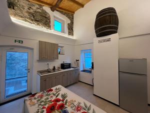 a large kitchen with a refrigerator and a sink at La Dimora Della Volpe in Calice Ligure