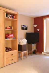 a living room with a television and a book shelf at Mountain Adventure Basecamp + Hot Tubs in Winter Park