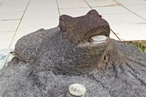 a statue of a bear sitting on the ground at Oasis nature et cascade privée in Atihiva