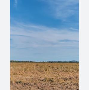 an open field with a blue sky in the background at Terreno in São Pedro da Aldeia