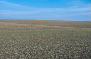 an open field with green grass and a blue sky at Terreno in São Pedro da Aldeia