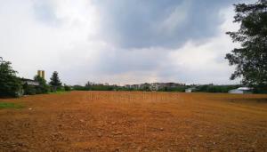 an empty field with trees and a cloudy sky at Terreno in São Pedro da Aldeia