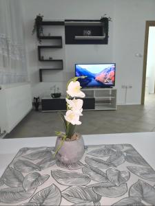 a vase with a flower on a table in a living room at Iskra Apartment 2 in Kragujevac
