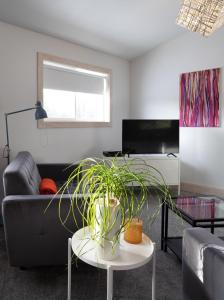 a living room with a couch and a table with a plant at Fieldstone Guesthouse in Clearwater