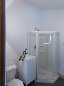 a white bathroom with a shower and a toilet at Fieldstone Guesthouse in Clearwater