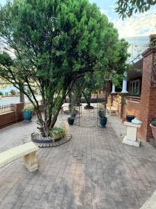 a tree in the middle of a courtyard with benches at Tily's Place in Parkes
