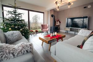 a living room with a christmas tree and a couch at Przygórze - dom w Górach Sowich in Przygórze