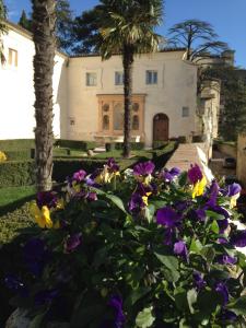 A garden outside Palazzo Leti Residenza d'Epoca