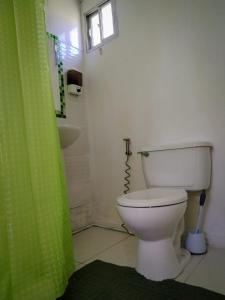 a bathroom with a toilet and a green shower curtain at Casa Jupiter in Villa Alemana