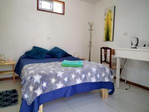 a bedroom with a bed and a sink at Casa Jupiter in Villa Alemana