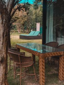 a glass table and chairs under a tree at Chale Container no Centro de Petrópolis in Petrópolis