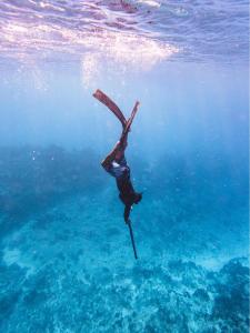 a person is swimming in the water at Kinakamo Lodge et Activités Rangiroa in Tiputa