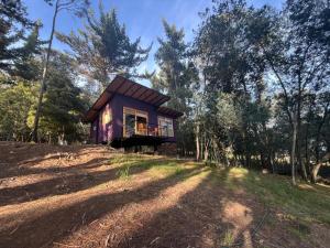 a purple tiny house on a hill in the woods at Ziatá in Simijaca