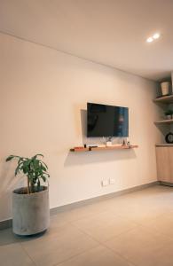 a potted plant in a room with a tv on a wall at Parallelo Loft Salento P1 in Salento