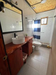 a bathroom with a sink and a toilet at Cabañas Maite Panguipulli Calafquen 2 in Huellahue