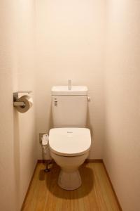 a bathroom with a white toilet in a room at Hinosawa Riverside Lodge 水遊び宿日野沢 in Minano +37 photos