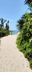 a sandy path leading to the ocean on a beach at Aconchego da Montanha in Garopaba