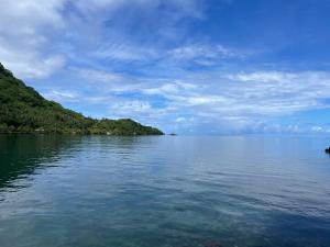 a view of a large body of water at Havaii Spot Huahine in HUH