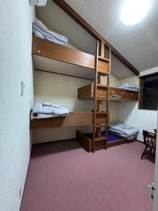 a room with a bunk bed and a ladder at ゲストハウスルスティゲス in Kijimadaira