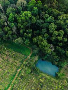 an aerial view of a forest with a blue pond at The Anexure - Great Estate Stay for Remote Work in Siddapur