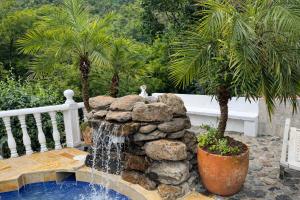 a water fountain in a yard with palm trees at El Remanso del Colibri in La Vega
