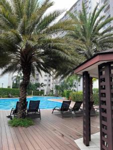 a palm tree and chairs next to a swimming pool at Haute Haven - 1br with Balcony in Manila