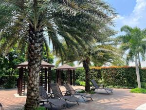 a palm tree with chairs and a gazebo at Haute Haven - 1br with Balcony in Manila