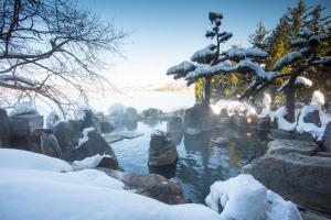 Akan Yuku no Sato Tsuruga في Akankohan: حديقة الحيوان مع الصخور المغطاة بالثلج والبركة