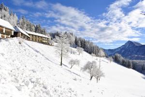 Loodusmaastik of the bed and breakfast lähedal