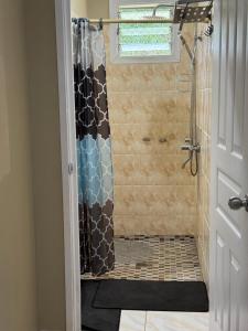 a shower with a shower curtain in a bathroom at Secure Vailima Home with Fale in Apia +24 photos