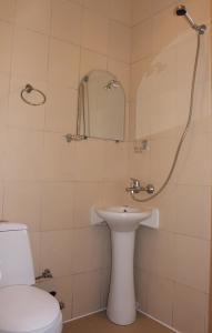 bagno con servizi igienici, lavandino e specchio di Shushanik Home a Jermuk