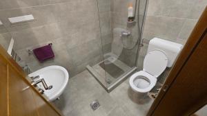 a bathroom with a shower and a toilet and a sink at Bajka in Kolašin +20 photos