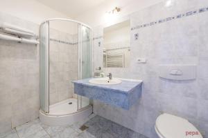 La salle de bains est pourvue d'un lavabo, d'une douche et de toilettes. dans l'établissement Restaurace a Penzion U Palečků, à Skuteč