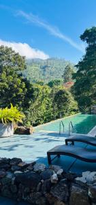 a pool with a bench and a view of a mountain at Romance Valley Haputale in Haputale +47 photos