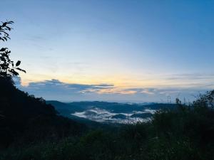 a view of a valley with clouds in the mountains at Romance Valley Haputale in Haputale