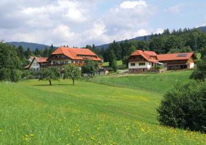 Příroda nedaleko penzionu – hostince