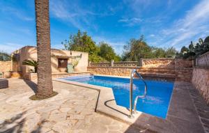 a swimming pool with a palm tree next to a wall at Moli De Ca N'orell in Santanyi