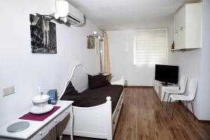 TV a/nebo společenská místnost v ubytování Apartment Roko