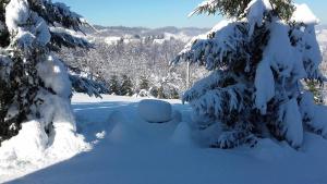 ドゥガ・レサにあるRustic home Miaのギャラリーの写真