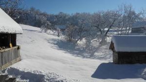 ドゥガ・レサにあるRustic home Miaのギャラリーの写真