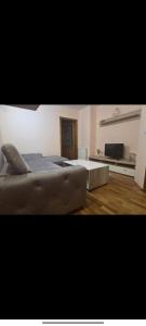 a large bedroom with a bed and a television at Apartament MaTei in Timişoara