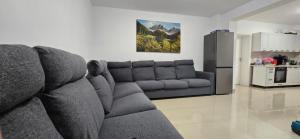 a living room with a couch and a refrigerator at Casa Campionilor in Hodoşa