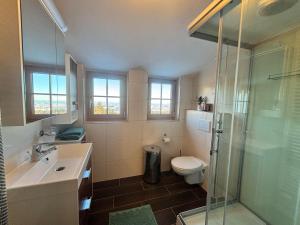 a bathroom with a toilet and a sink and a shower at Huber's Ferienhaus 28 in Leutschach +35 photos