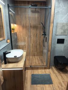 a bathroom with a shower with a sink and a toilet at Apartmán U nás in Malá Morávka