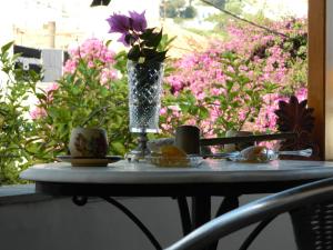 A garden outside Lemon House