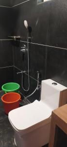 a bathroom with a toilet and a shower at Arundekar's Cottage in Gokarna